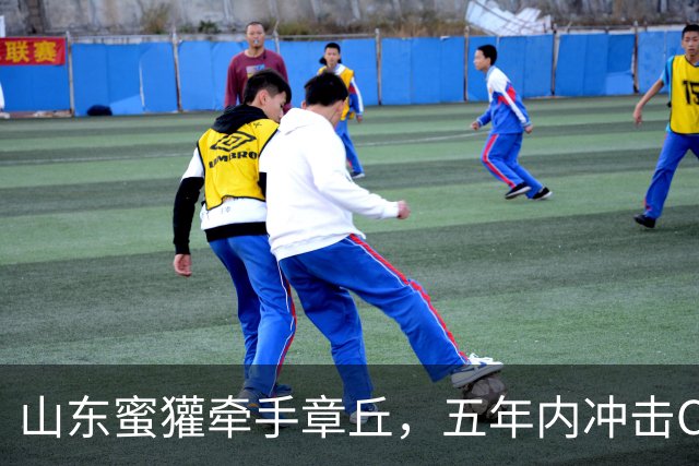 山东蜜獾牵手章丘，五年内冲击CBA的疯狂计划！